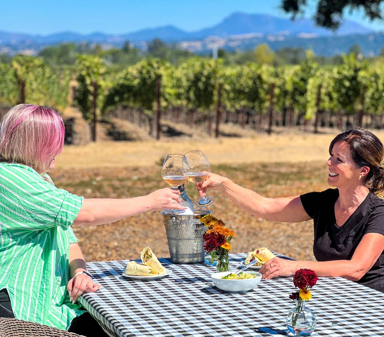 Picnic in the Vineyard Santa Rosa Location