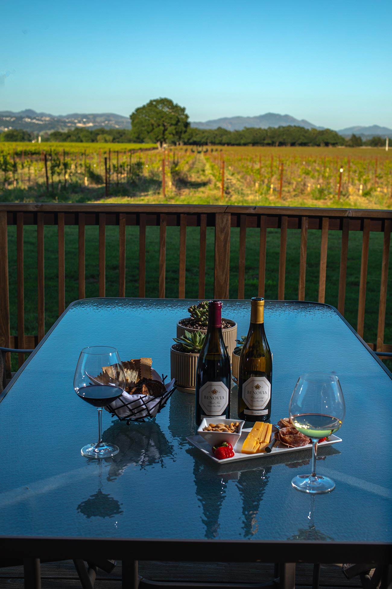 Vertical-Shot,-Front-Deck,-Chardonnay-Cottage,-Benovia