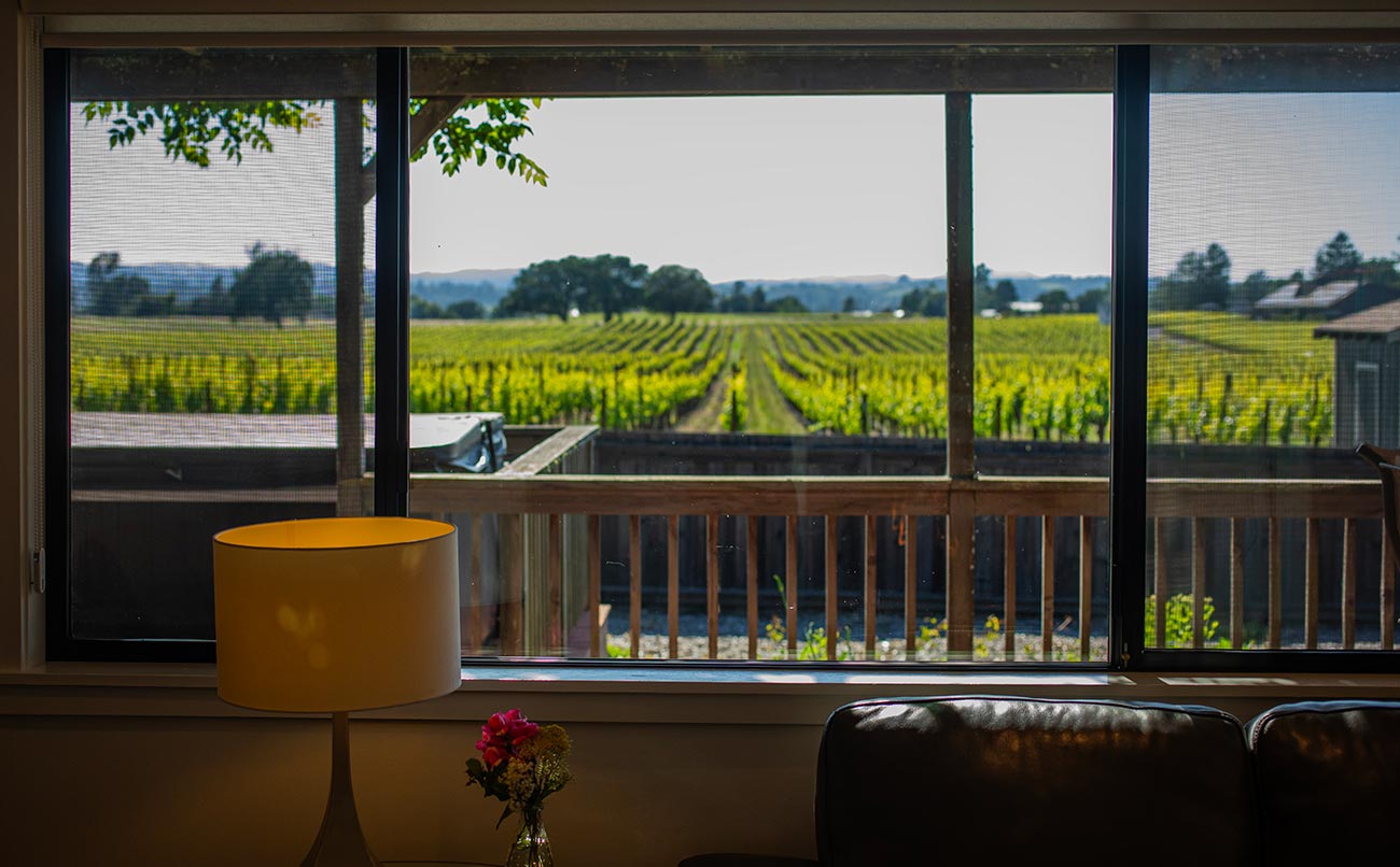 Vineyard-Outside-Living-Room,-Pinot-Cottage,-Benovia
